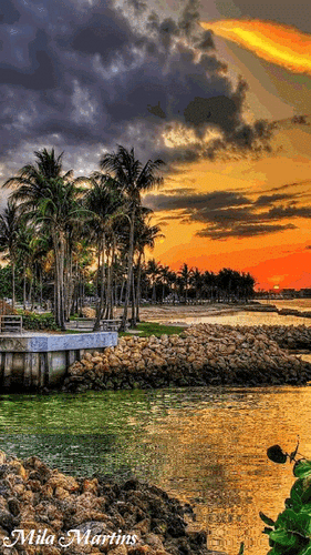 08:58:36 GMT-0500 (CDT)