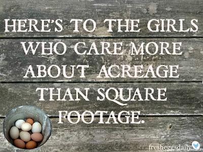 e3e89b4b-6e29-4dbf-8e14-cab1403565ee