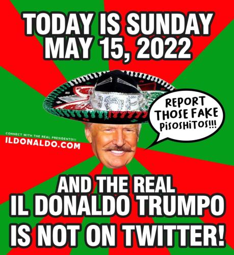 91172d58-07a5-43fb-b45c-e2abaecbf66e