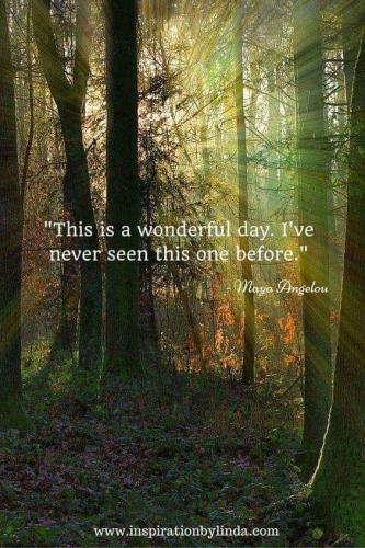 0b4ed945-2132-4b55-85a7-6cb134a801eb