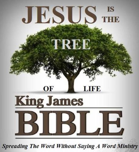 4714a01dc8f8efbf3d47981725806bb2_1024