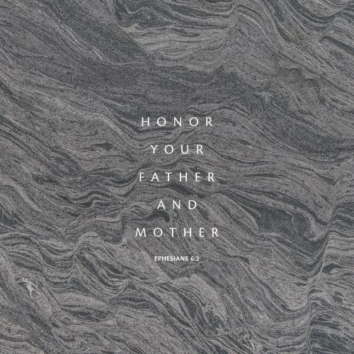 fee24e69-3e5f-4794-a031-df998e667a59