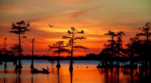 C1FC4157-6F42-41B0-89D3-8F96A05E6FBA