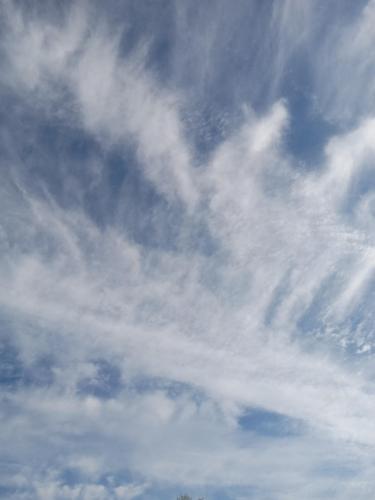 48365c12-c642-4f2b-a74a-999bf366caf7