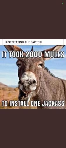 b41a8346-b4e8-4eac-8c90-d9166e9184ad