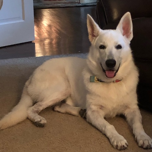 565fc541cfc4d171e4727b6a6039f901