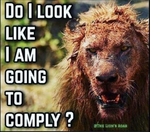 38d7d9b4-2249-43e1-a265-0a15a84b2df7