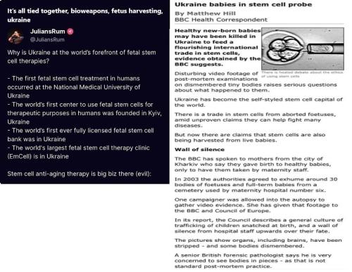 JULIANS RUM FETAL STEM