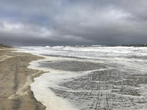 C2004D61-824D-4770-99E9-93D8755D86DB