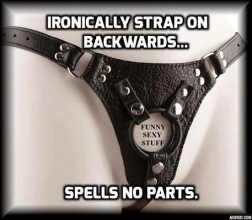 4ba77de3-2955-4600-8493-dfcef78cbc6c