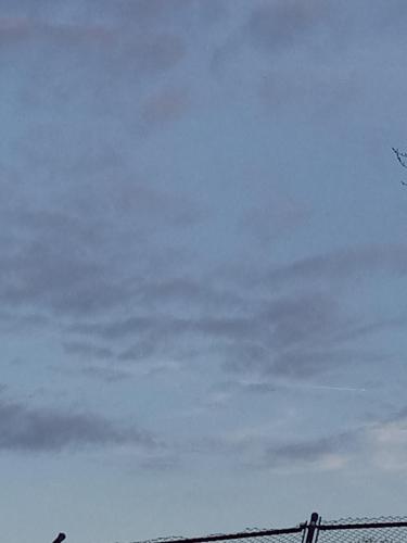 a70d4924-69c0-4acc-9f64-56c135f93b38