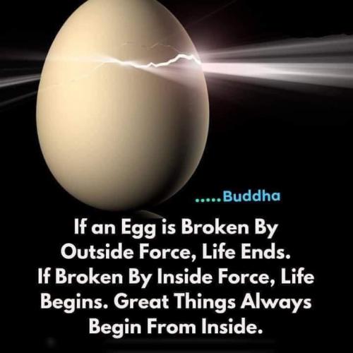 9853E362-2A9D-4CD1-988E-7BB9887A631F-14648-00001AC123AB9D67