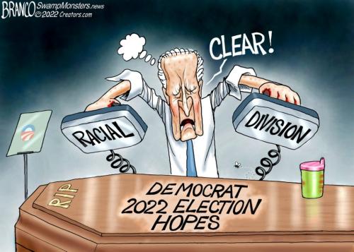 Branco_biden-revival