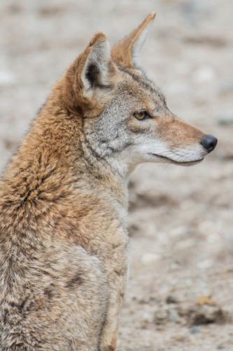 tumblr_fb688fcc6cca339b9aabb4afb733d9bc_af0d005a_540