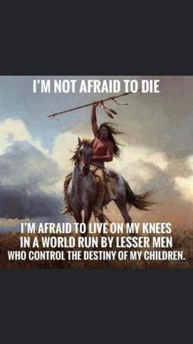 279640576_854730222588106_7108098261913051241_n