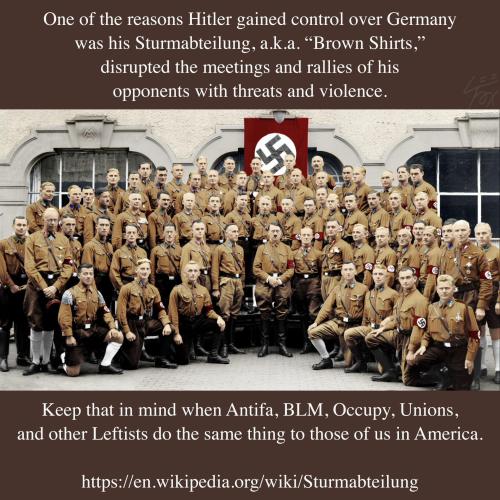 Hitler Brownshirts Rallies