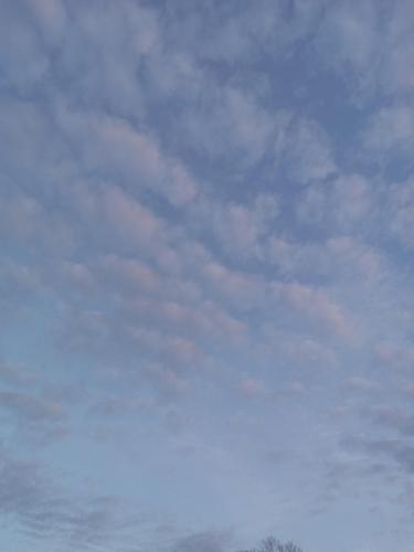 d97f3aef-d286-4b6d-86a4-d1b03b9d7267