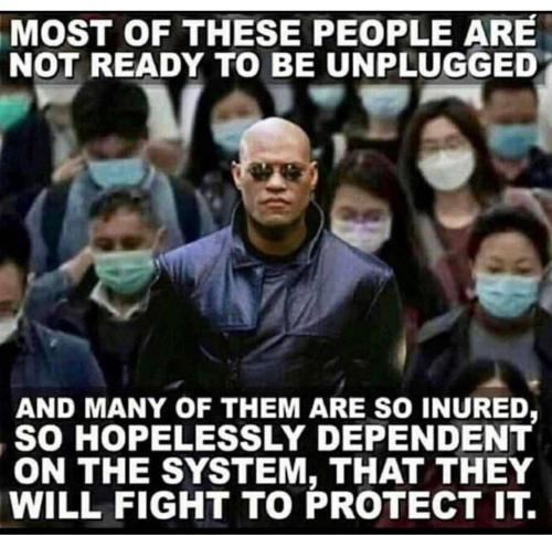 010d847e-8c82-426c-b0bb-3dc904120689