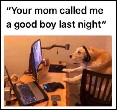 tumblr_9783f31e46854a6318a65426857620f0_13ac9b69_400