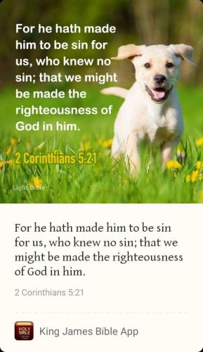 cfff01dc-ba7d-4237-9e58-dd2f65d7378d