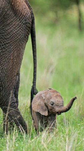 tumblr_6f0e0f72054968895c9121bc7ff2e78c_4d309981_640