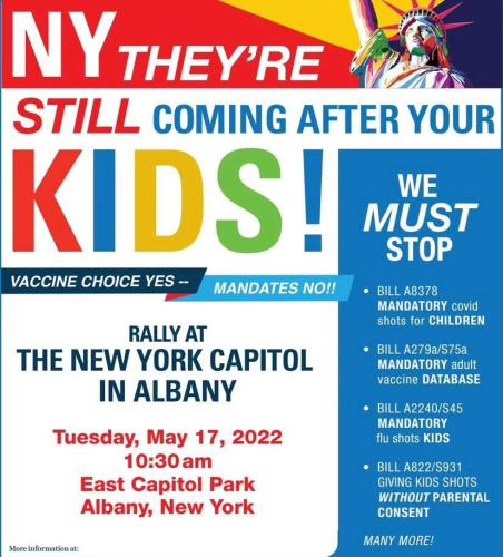 Albany, New York - May 17, 2022 - Rally at the Capital