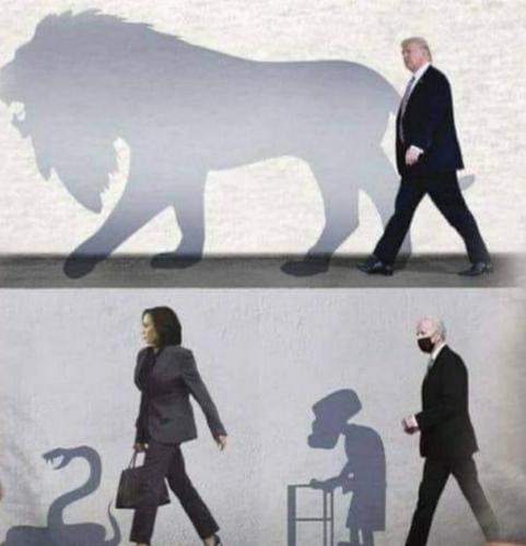 a3ba0337-93a7-40bc-bfa2-ce1cc0c46c31