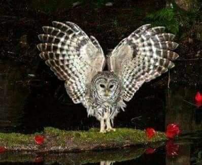 82dedc66-9953-44ed-82a2-e70af5c9f2d7