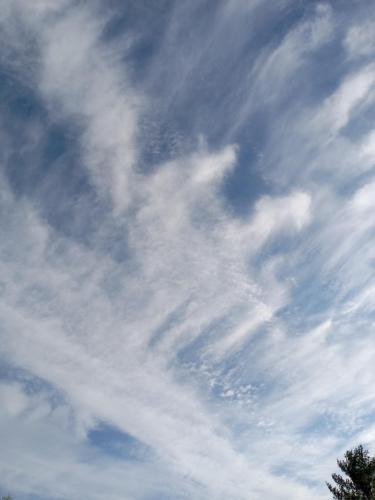 809e564b-fa6e-44d9-b941-ce59fdf37f5e