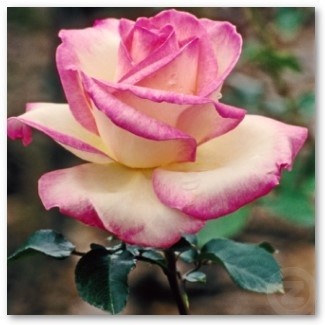 09:27:38 GMT-0500 (CDT)