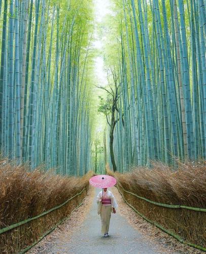 279455345_517948243292985_8416276308875161760_n