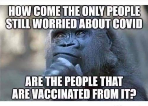 2ba65aa0-35d7-4fce-b17e-7166640b8049