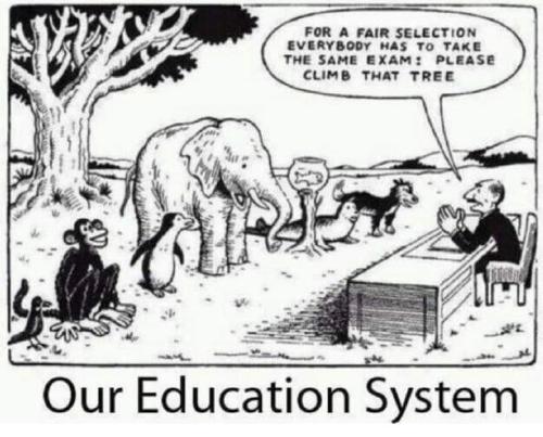 95b0fd09-1f85-423d-9213-abb450ccd7a0