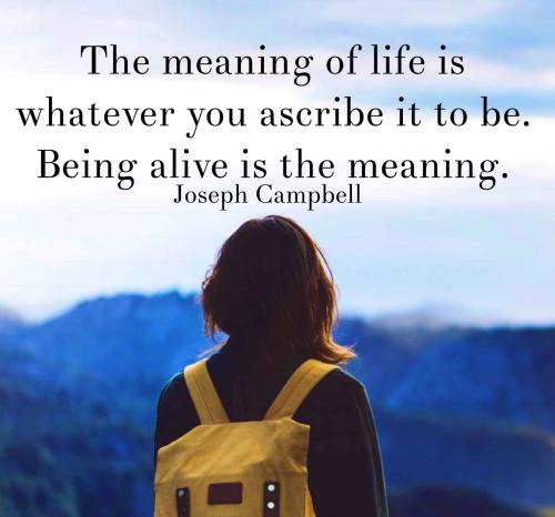 1A-Meaning of Life