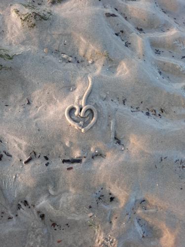 1e433ae8-1a5d-4b18-adec-a0c5ad410c8e