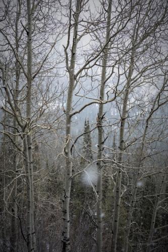 tumblr_db91b83805c8622ceafb3cf02e55017a_eb9ec71d_540