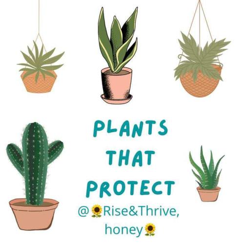 1d96c768-06a8-4021-aae9-4fc16e592be8