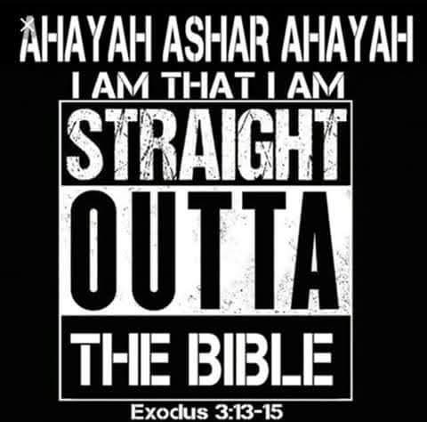 55e96491-1c29-4a14-8567-f3334e13ce14