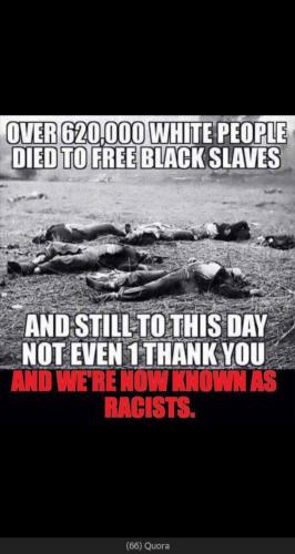 whitepeoplediedtofreeblackslavesandnothankyouphoto