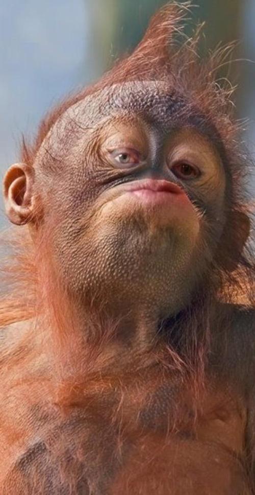 d57a20e1-18f9-4109-aa76-a39a6ade8742