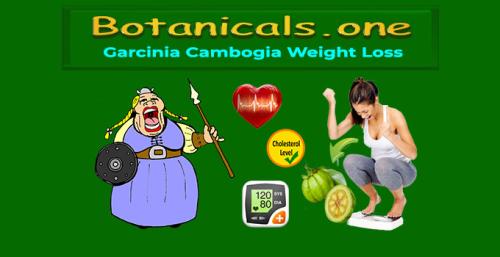 Botanicals.one - Garcinia Cambogia for Weight Loss