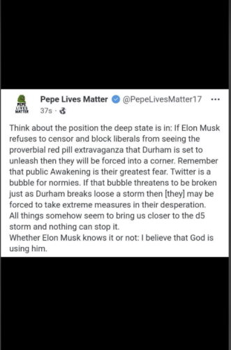 Musk 1