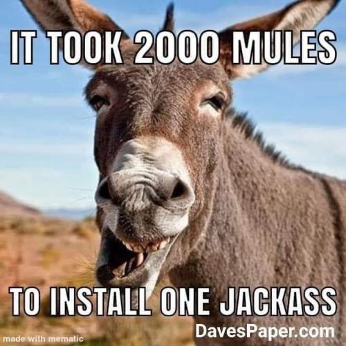 360c10c1-eaf1-456e-8247-3cb8aa810be1