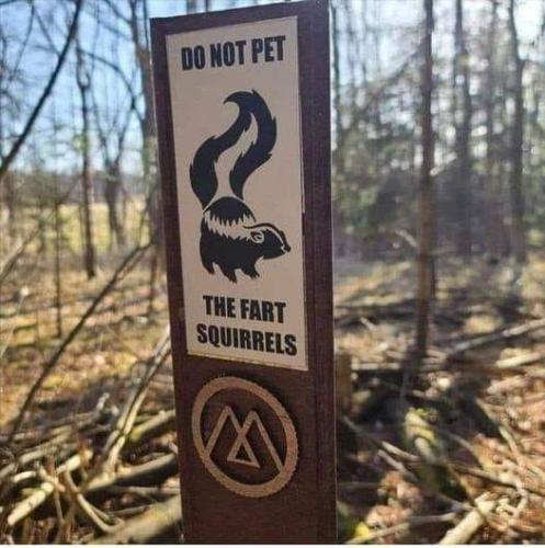 281564624_1383707932147740_8966351867821912697_n