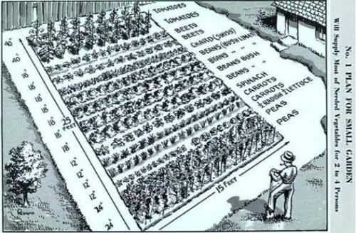 3791f5bf-8868-4d98-8f26-6daa10c6bc19