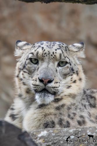 278635271_4976924542357022_8828771039832633696_n