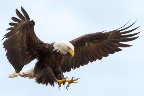 21:37:34 GMT-0400 (EDT)