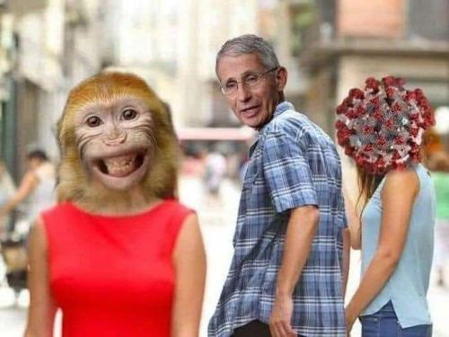 a9662483-3a5c-4259-9047-c3a0ba06b106