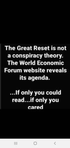 cf736986-304d-43f5-991f-78a8adfc7cdf