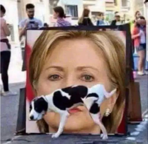 183060171_1262540500845135_1079014527763280770_n